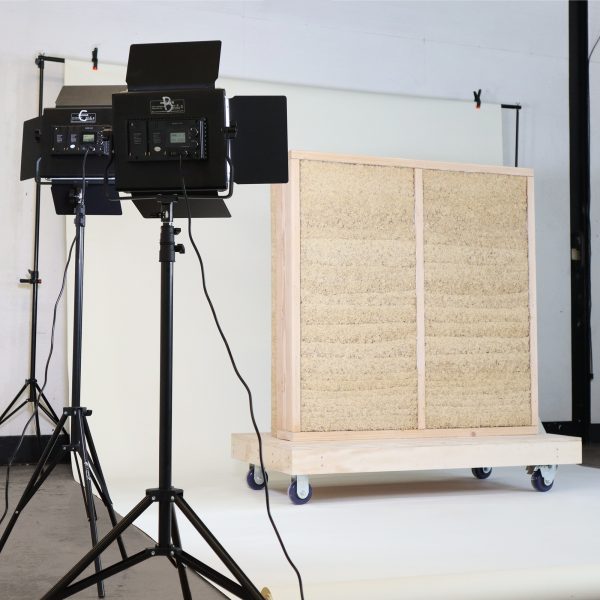 Hempo Longhouse and Other Stories