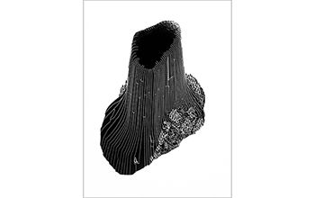 NEWS-San-Rocco_2.jpg#asset:1158